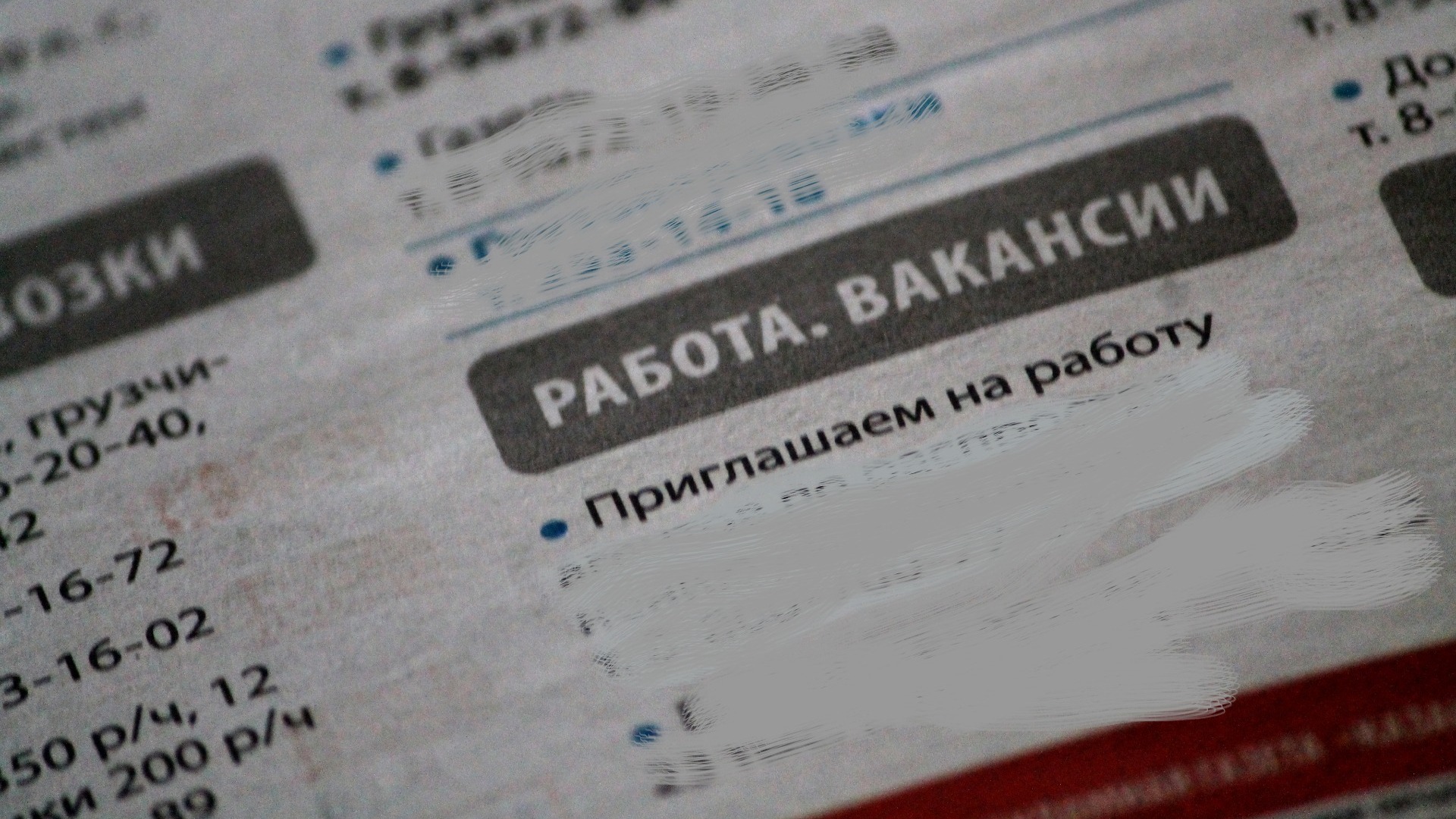 Омским студентам предложили работу на лето за 70 тыс в месяц