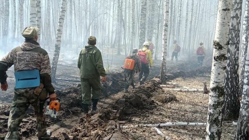Омские спасатели ликвидировали крупный лесной пожар в Крутинском районе
