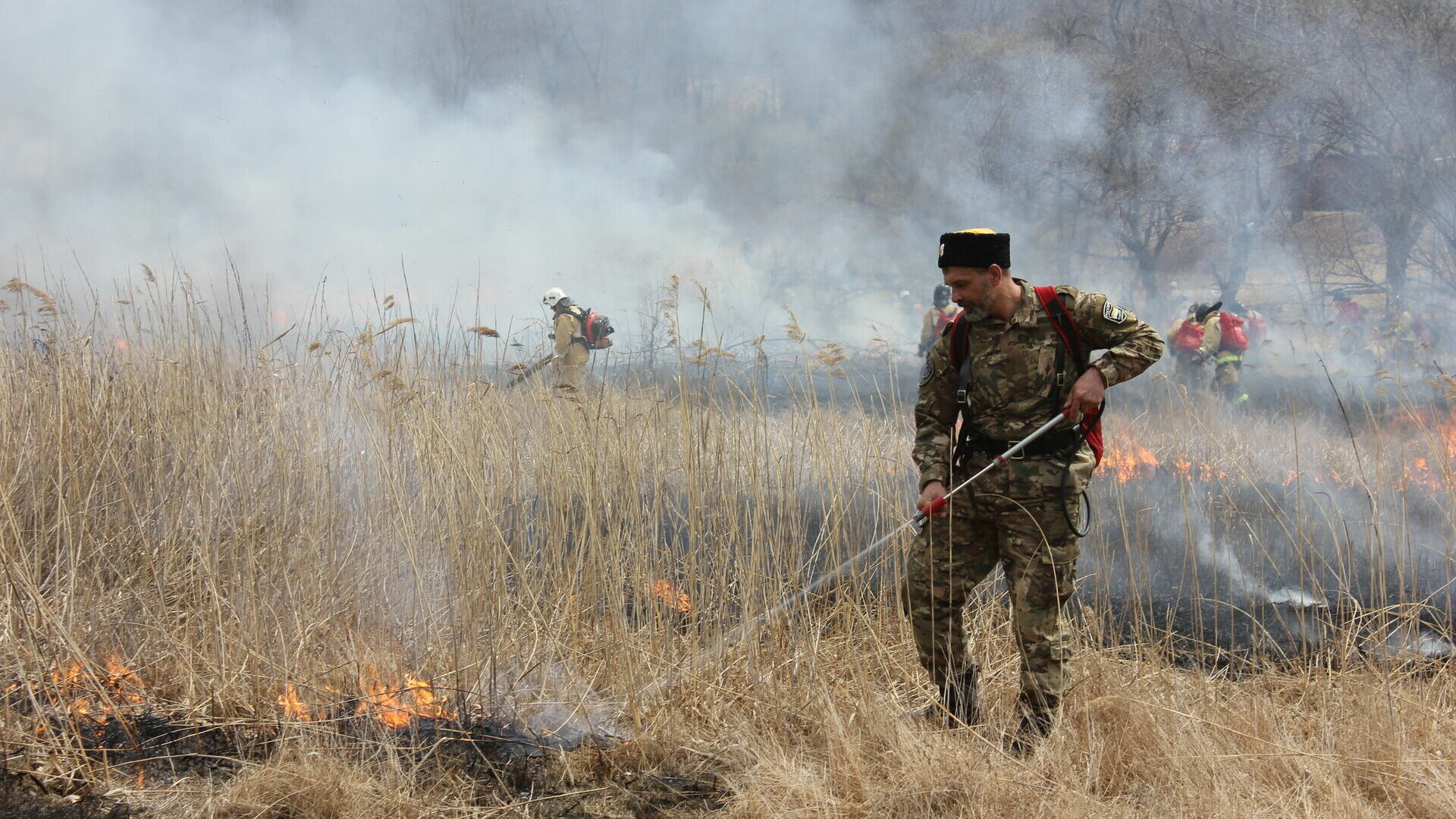 В Омской области стали меньше гореть леса и поля