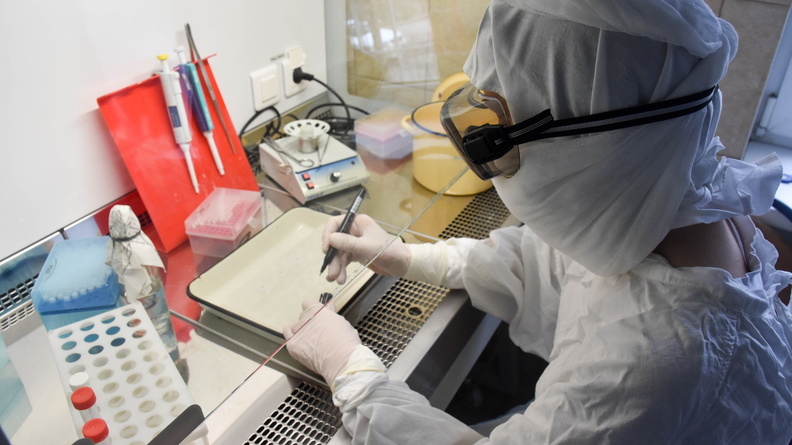 В российском НИИ выделили полный геном коронавируса