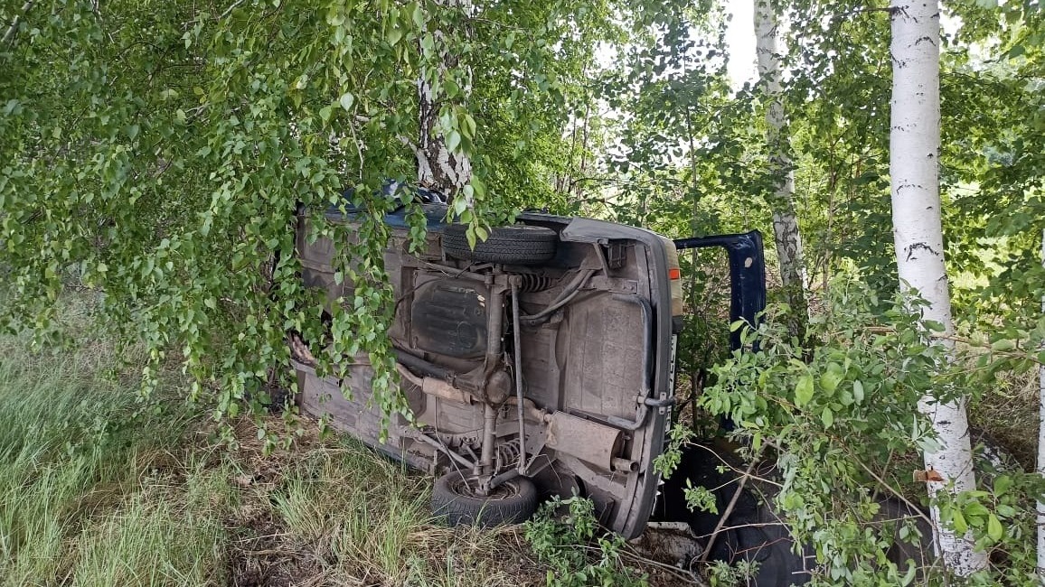 В Омской области погибли двое мужчин, врезавшись на машине в дерево