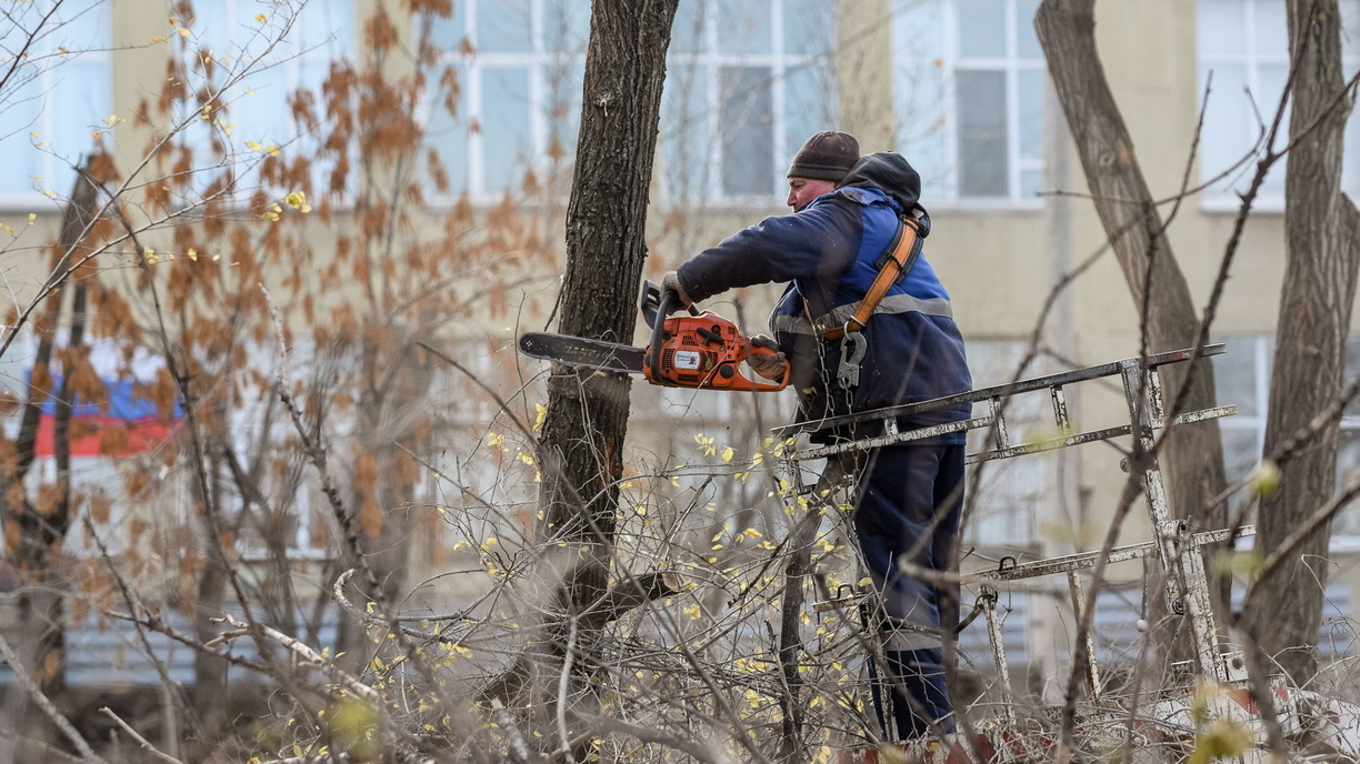 В Омске хотят вырубить 150 деревьев под строительство складов на 2-й Солнечной