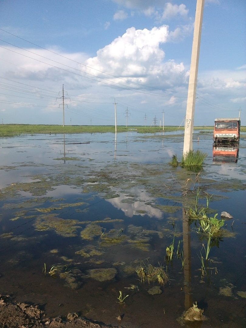 Дома и огороды жителей Любинского района заливает паводковыми водами