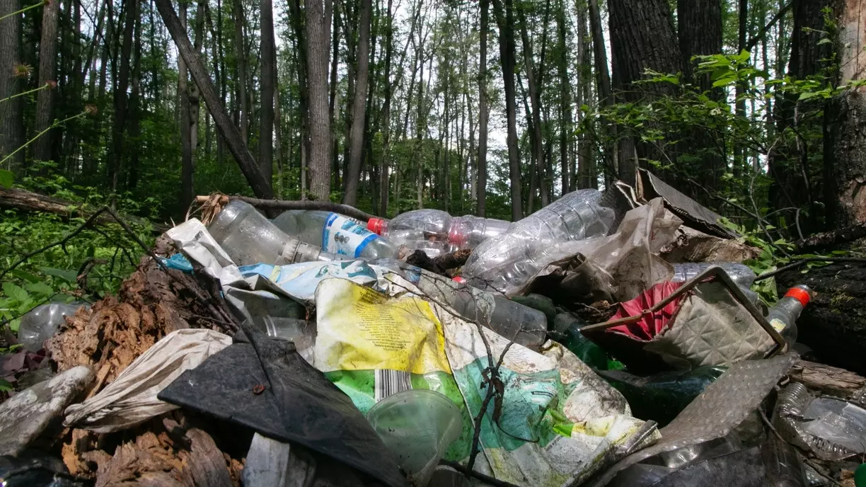 Омичи пожаловались на свалку отходов в лесу рядом с СНТ