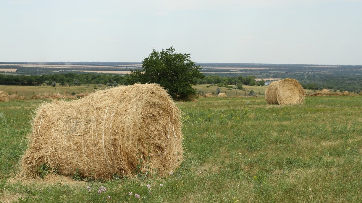 Сельский работник в Омской области погиб в прессе для заготовки сена