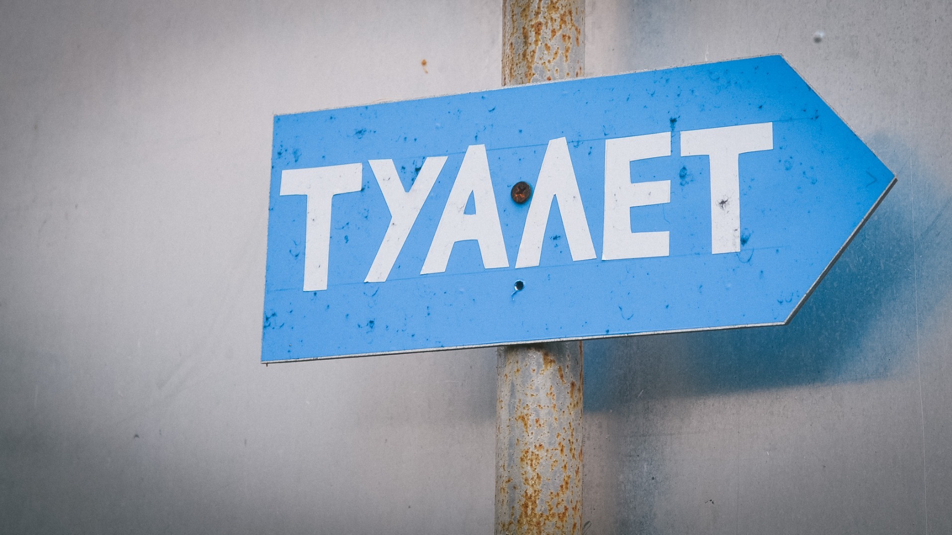 Туалеты трех омских школ вошли в топ-50 худших в России