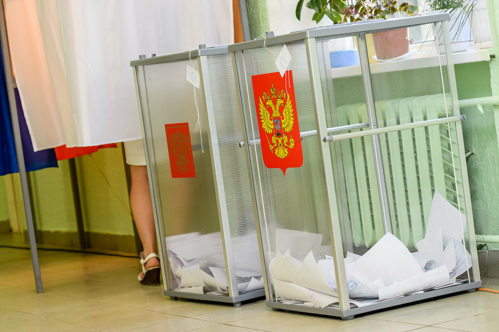К обеду на выборах за депутатов Заксобрания проголосовали 20% омичей
