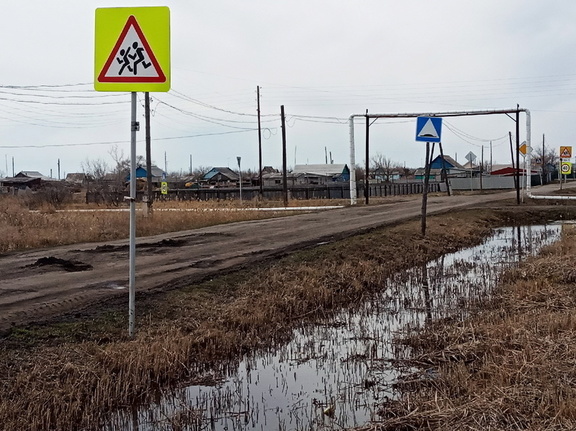 В Омской области на месяц запретили ездить по дорогам без асфальта