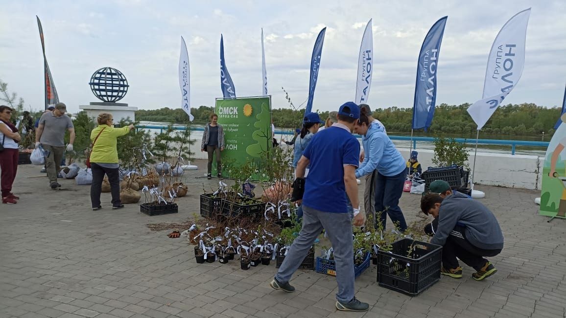 Масштабное озеленение. На Иртышской набережной в Омске высадили новые деревья