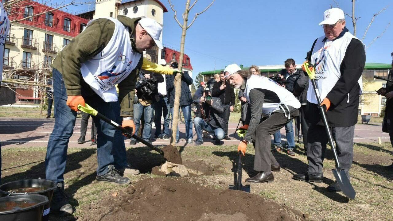 В центре Омска в рамках проекта «Аллея олимпийских чемпионов» высадили кленовую аллею