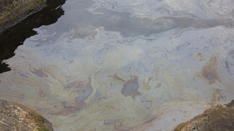 В реке Омь обнаружили маслянистое пятно с нефтяным запахом