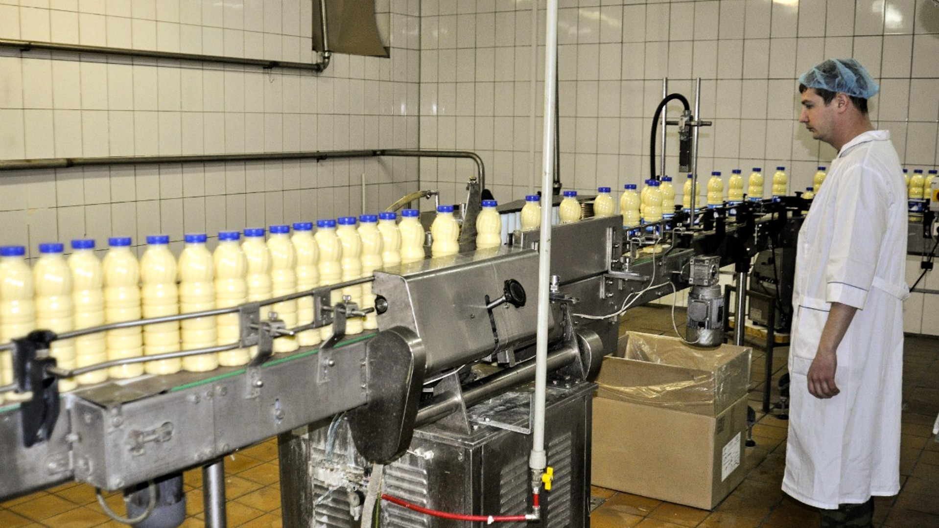 В продажу в Омской области попало 1,5 тысячи тонн молока неизвестного происхождения