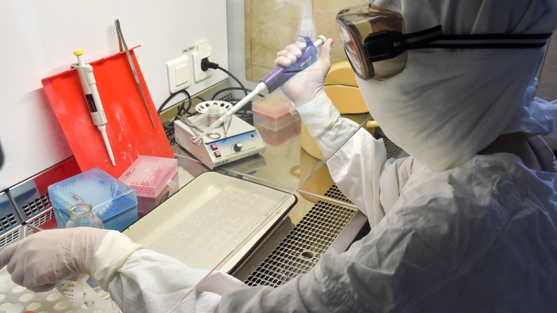 Тесты на коронавирус в Омске начали делать в четырех лабораториях