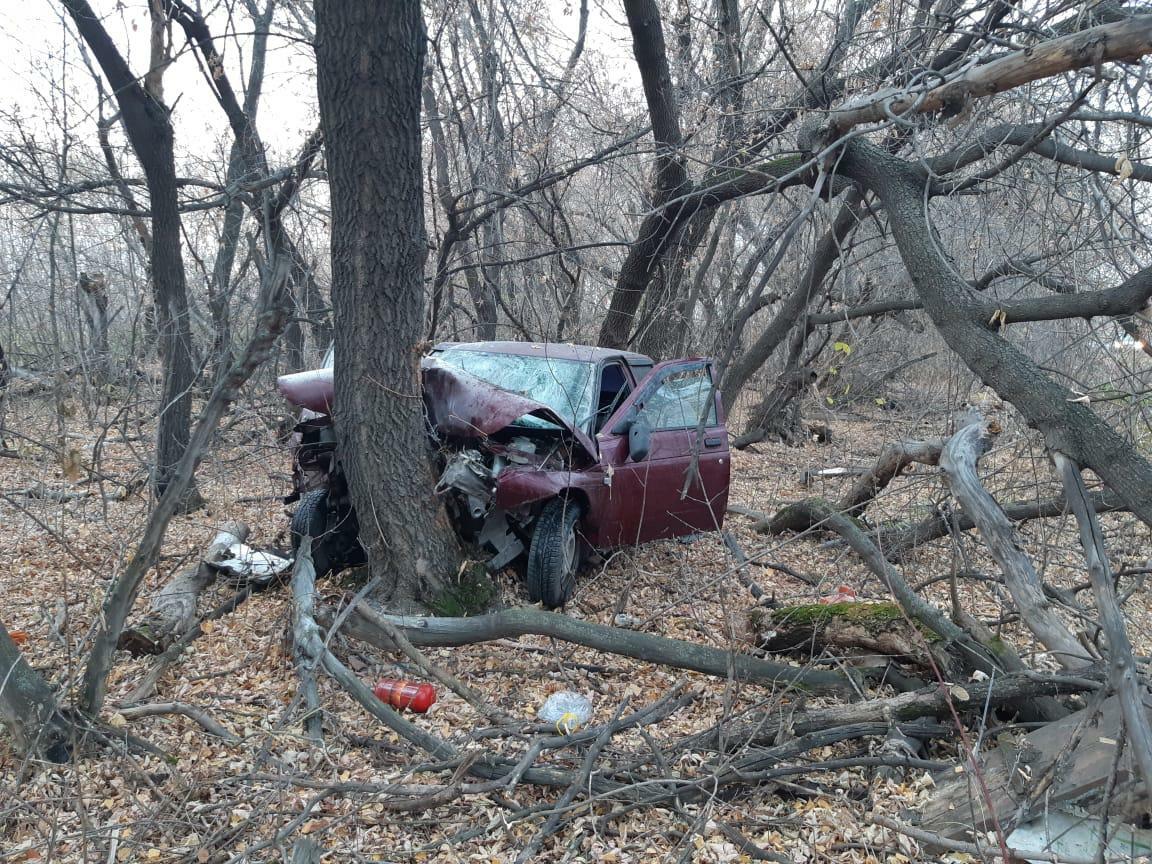 Омич на ВАЗе вылетел в кювет и врезался в дерево: пострадали три человека