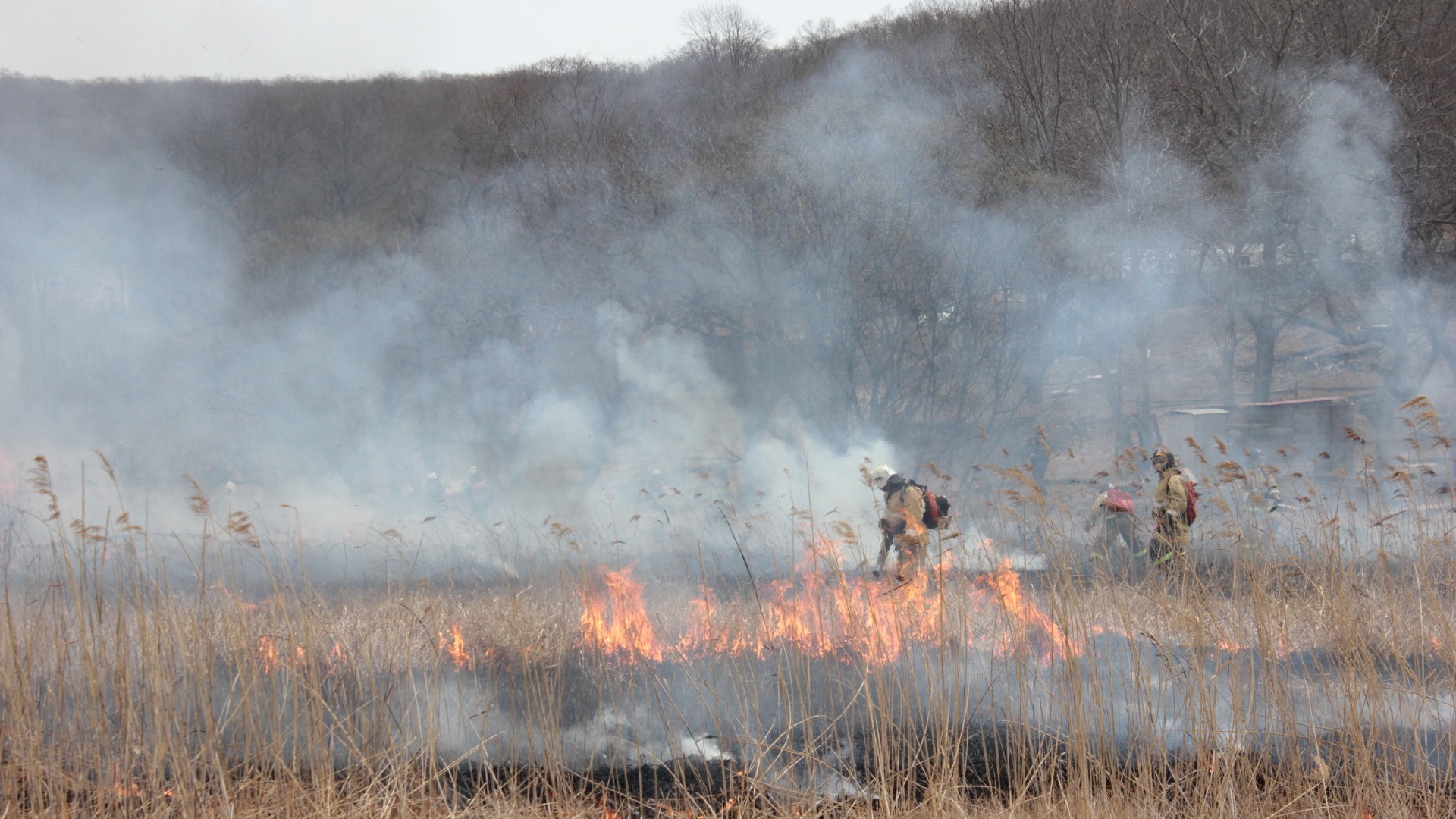 В Омской области объявили пожароопасный сезон