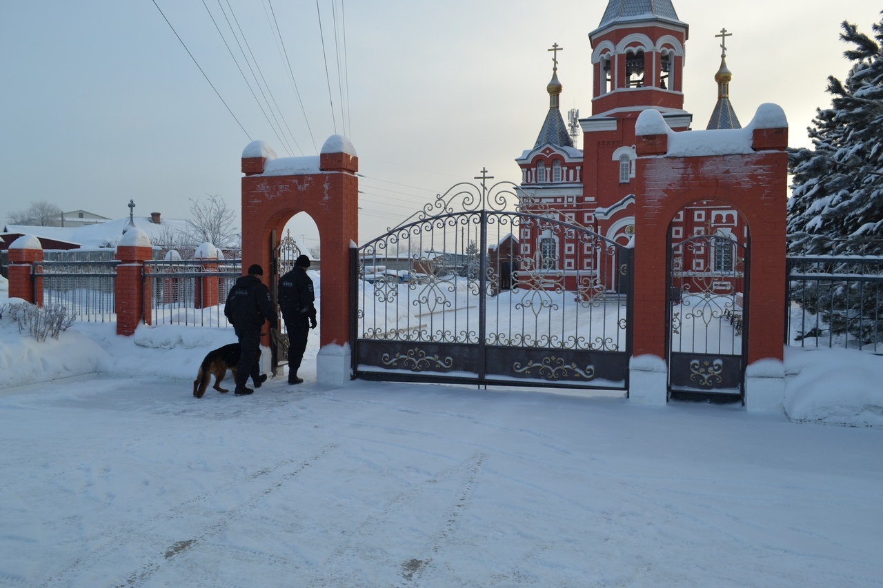 Омские храмы перед крещенскими службами проверят кинологи с собаками