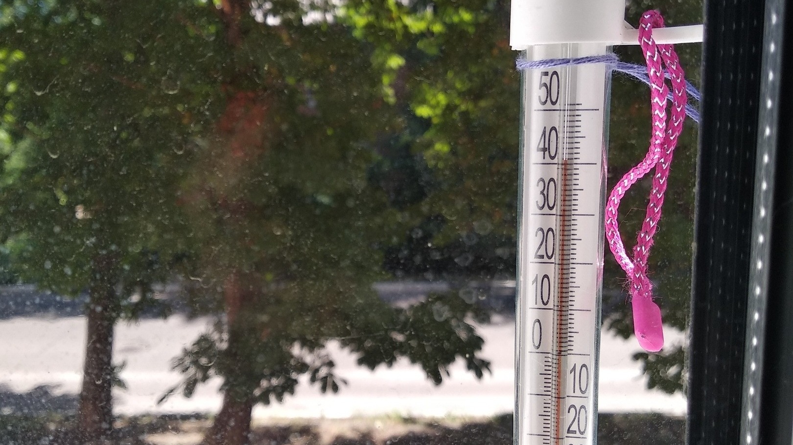 Долгожданная жара! Стала известна дата мощного потепления в Омской области