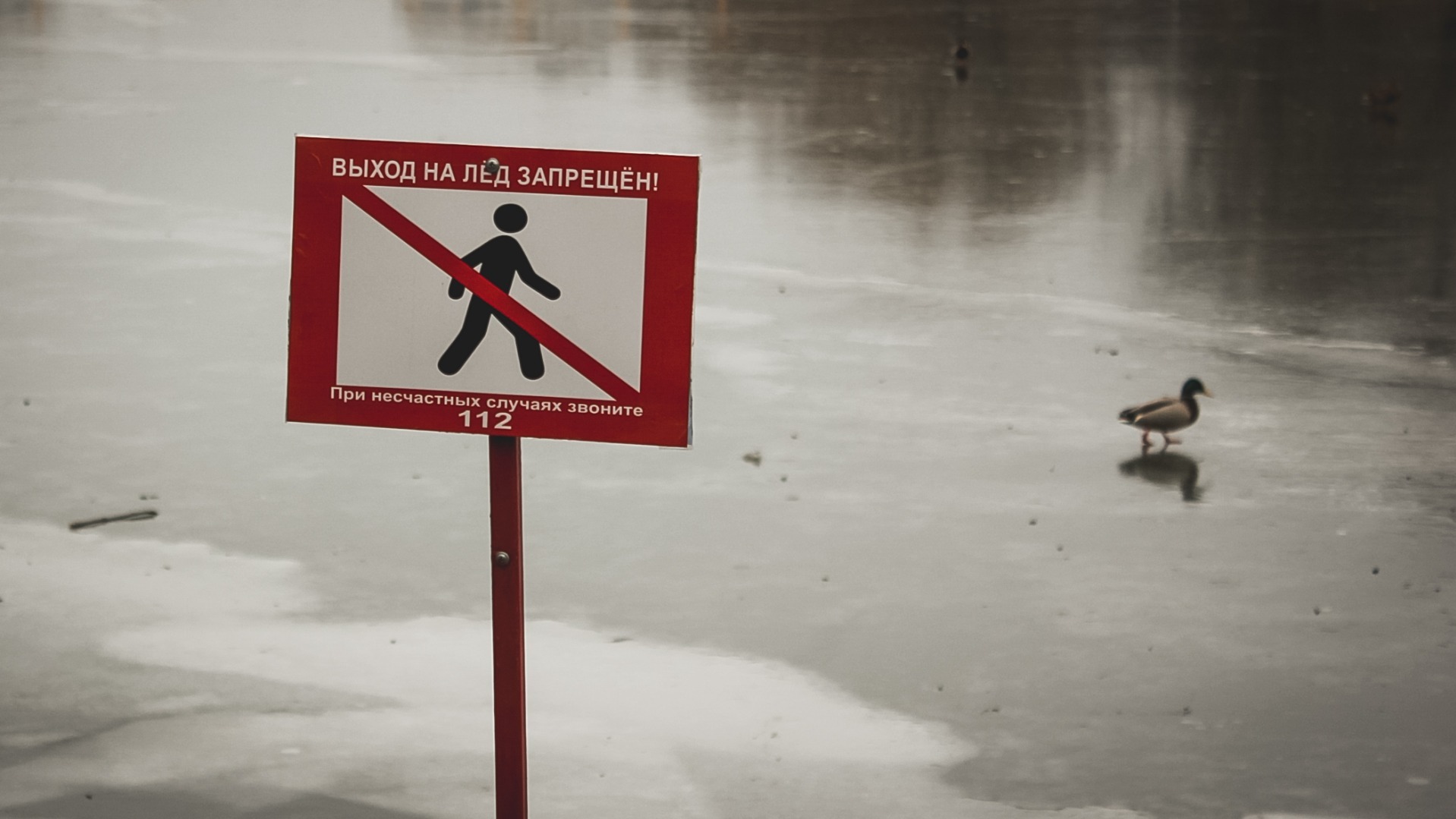 Омичей предупредили об опасном участке на Иртыше