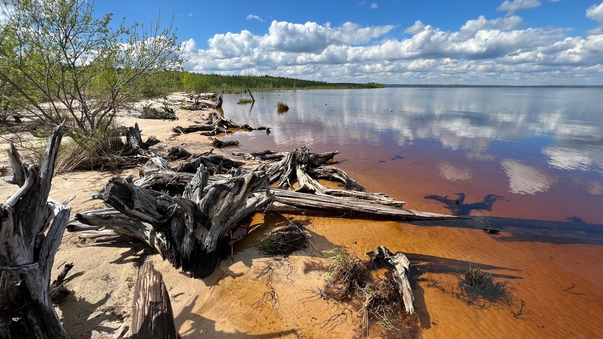 Названы самые чистые и грязные реки в крупном сибирском регионе