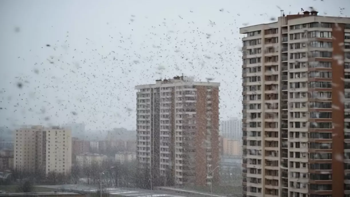 Жителей Омской области предупредили об опасном изменении погоды