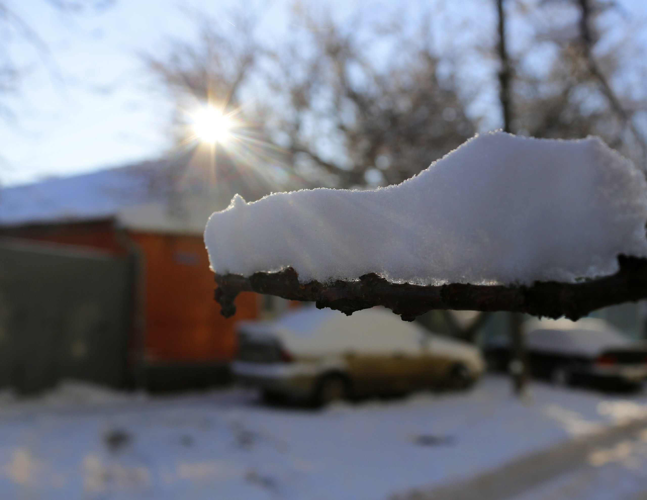 Первые дни зимы в Омске будут теплыми и бесснежными