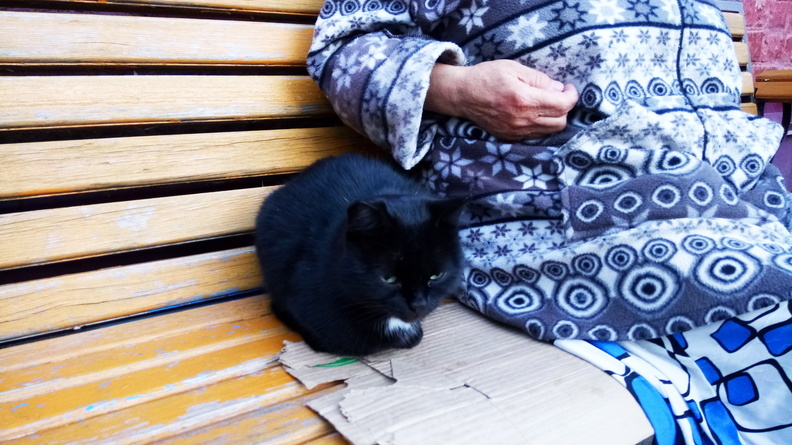 В Омске 87-летняя пенсионерка ушла из дома вместе с кошкой