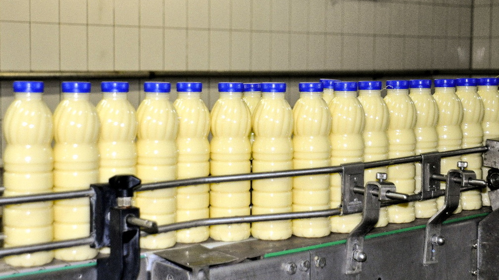 На омских предприятиях готовили поддельное масло, молоко и плавленый сыр