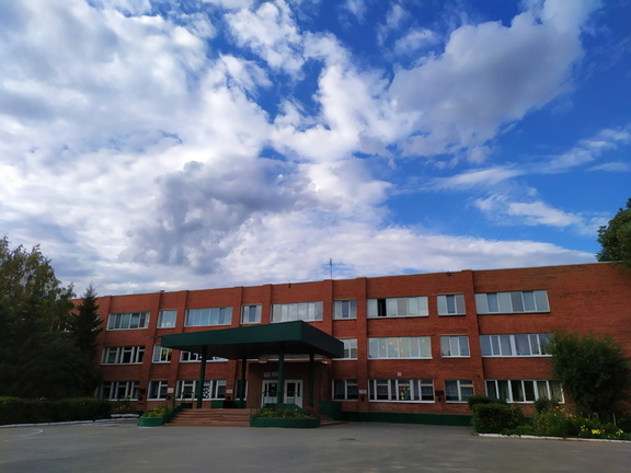 После скандала с домогательством в школах Омской области поставили проверяющих