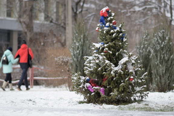В центре Омска начали продавать первые елки к Новому году