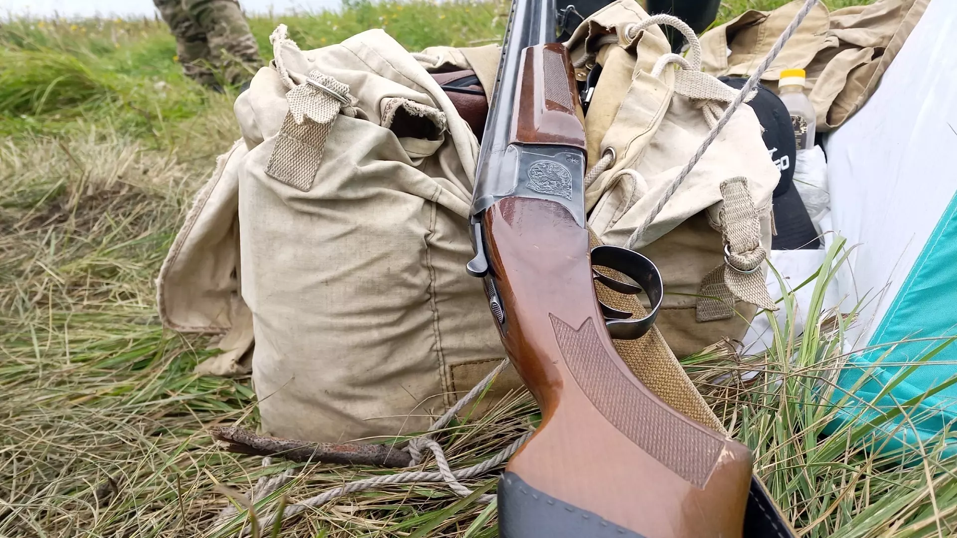 Суд накажет охотников из Омской области за незаконную добычу лося