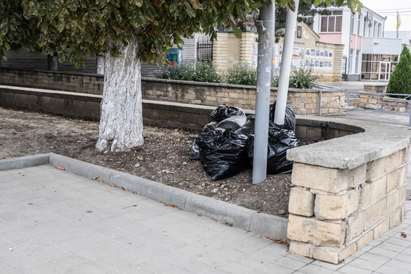 Омские депутаты выясняют, куда местные предприниматели вывозят мусор