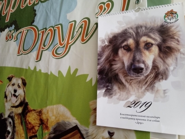 Омский приют выпустил новый календарь с четвероногими друзьями в главной роли