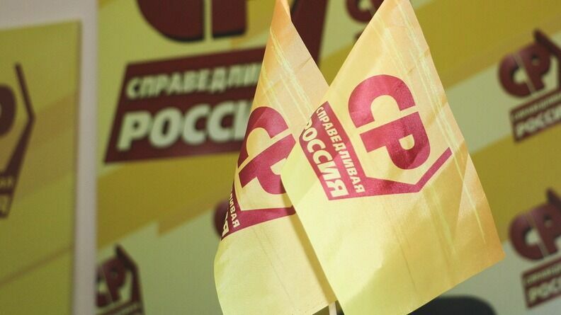 Анну Степаненко не избрали главой фракции «СР» в Омском горсовете