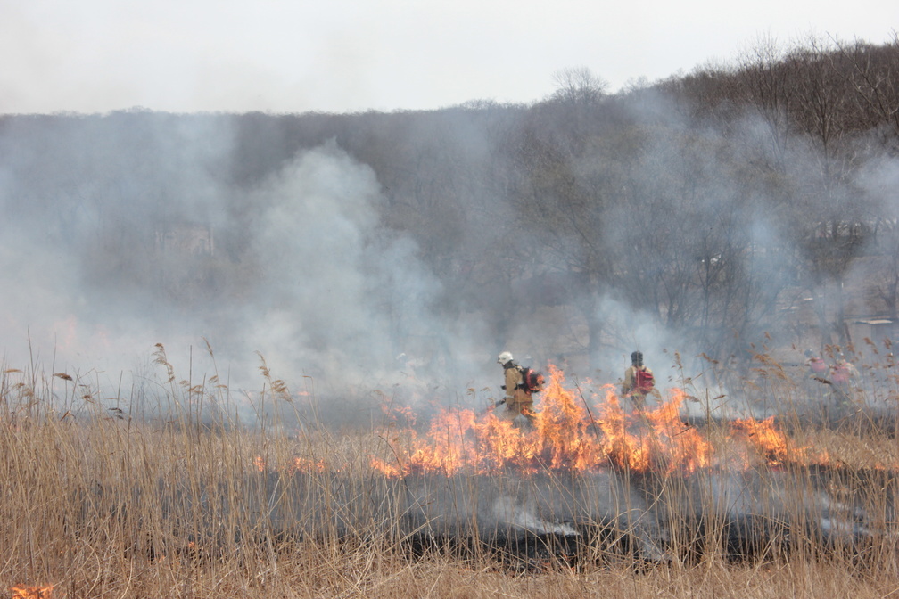 В Омской области за сутки произошло 136 «травяных» пожаров
