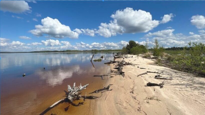 «Установить невозможно»: были ли выбросы в 292 ПДК фенола в реке, дошедшие до Омска