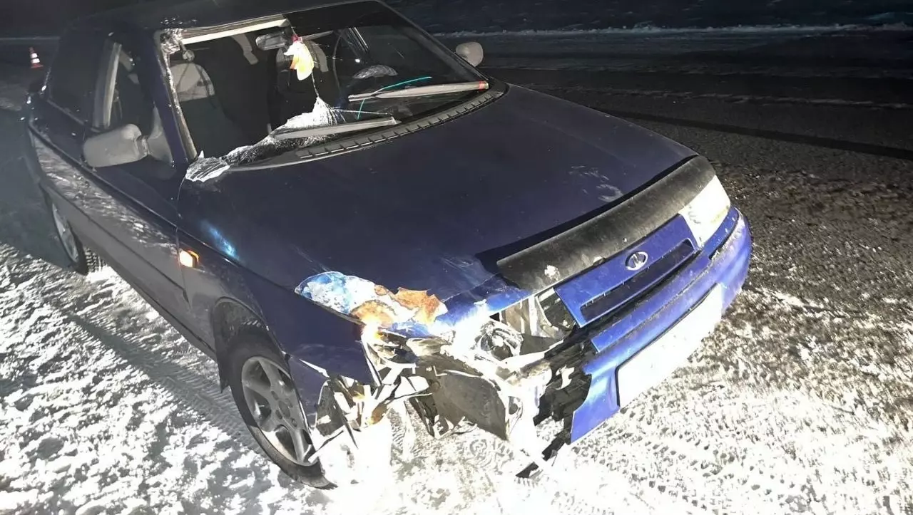 В Омской области водитель без прав насмерть сбил пешехода