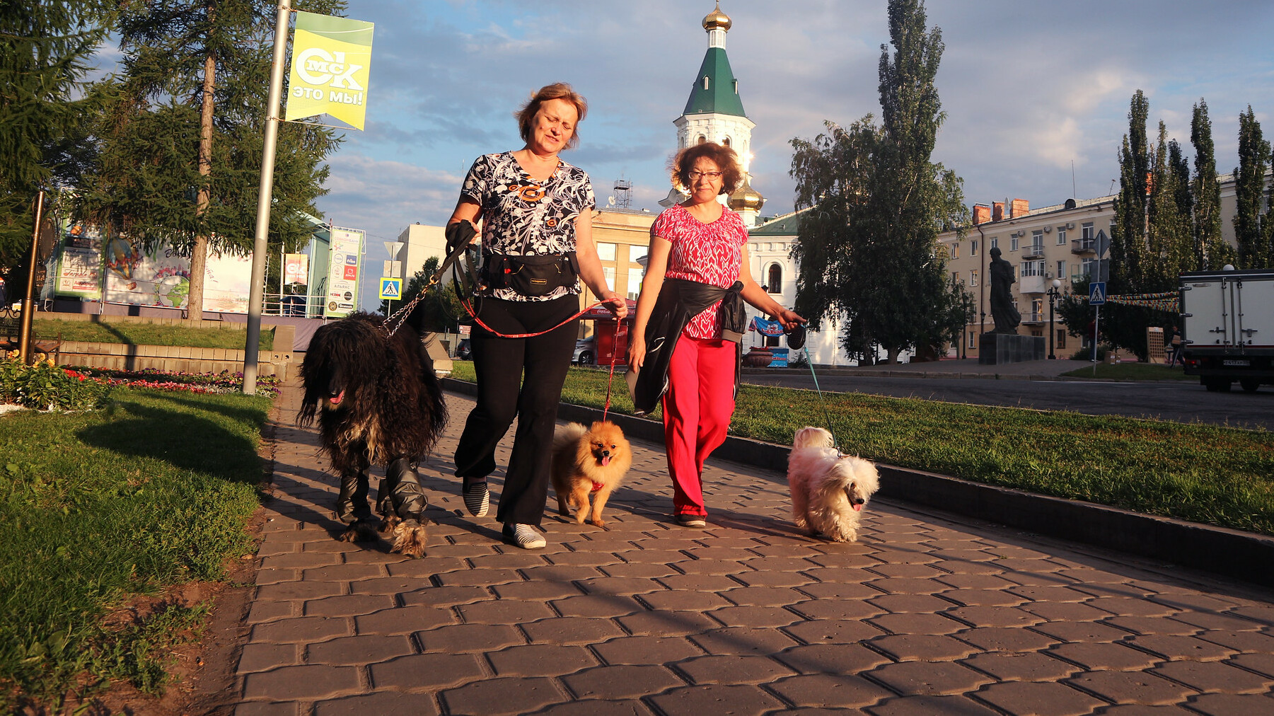 Няня для собак: реально ли зарабатывать этим на жизнь в Омске?