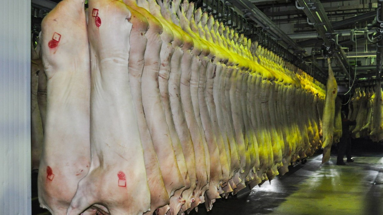Омские чиновники рассказали, как не купить зараженное мясо