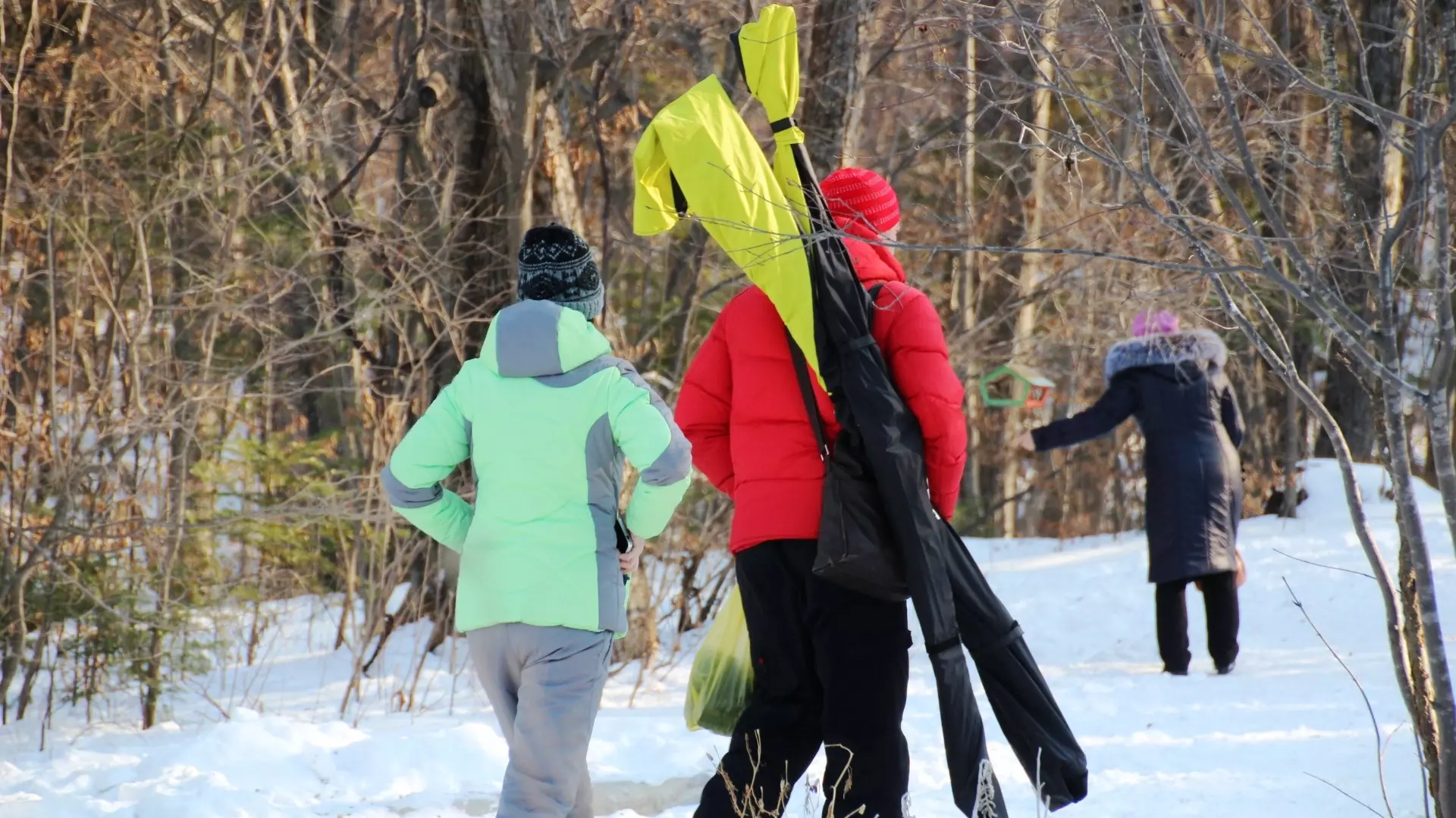 В администрации омского парка объяснили вырубки жалобами лыжников