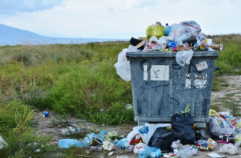 Тариф на вывоз мусора в Омске станет известен ближе к весне