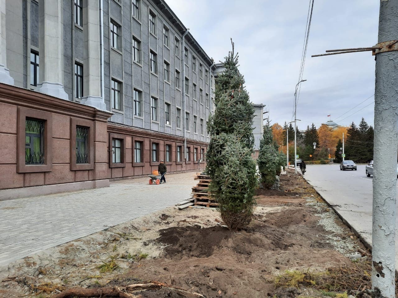 Елки вместо лиственниц. Возле здания омского ФСБ высадили деревья