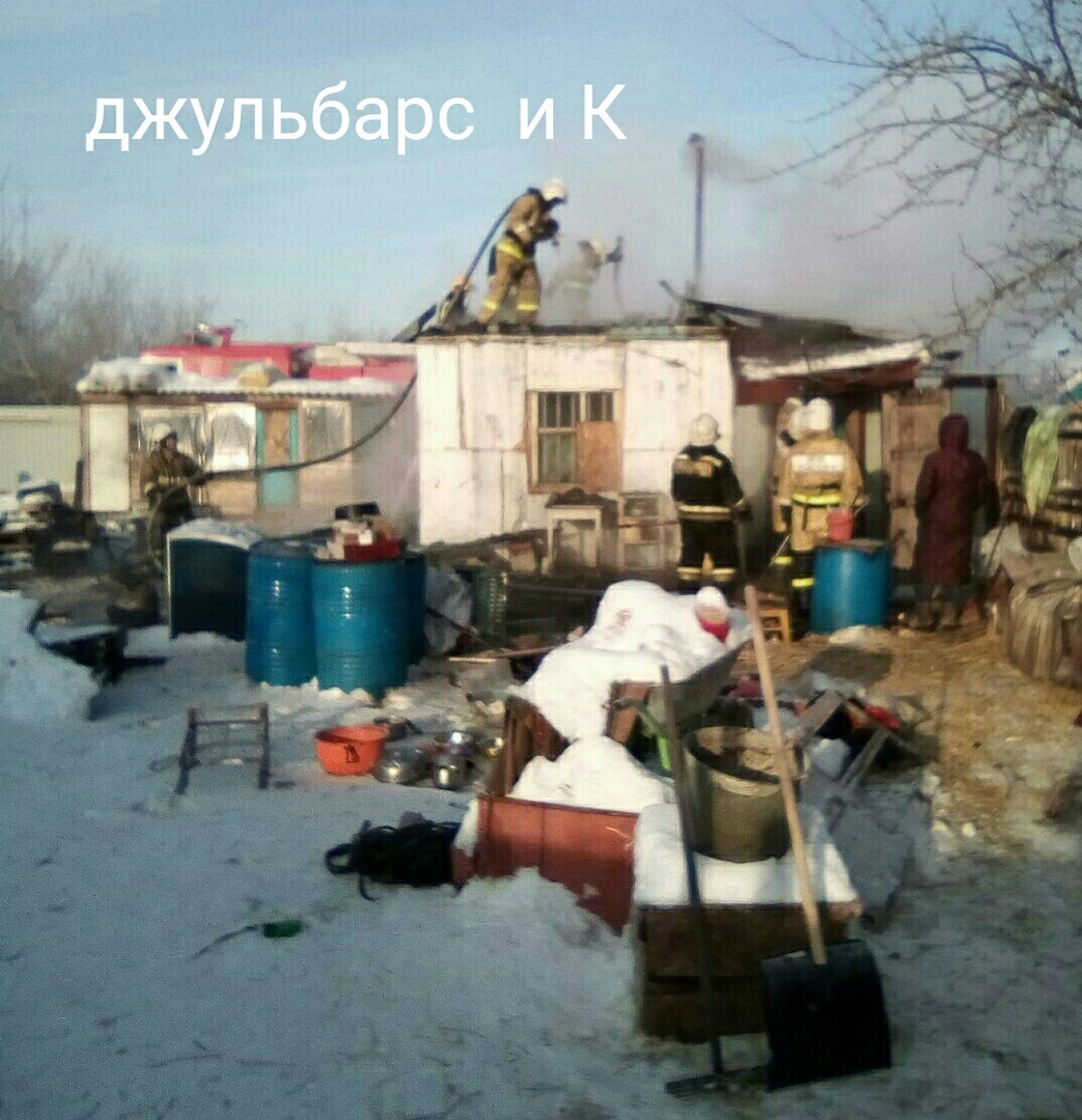 В Омске сгорел приют-хоспис для бездомных животных