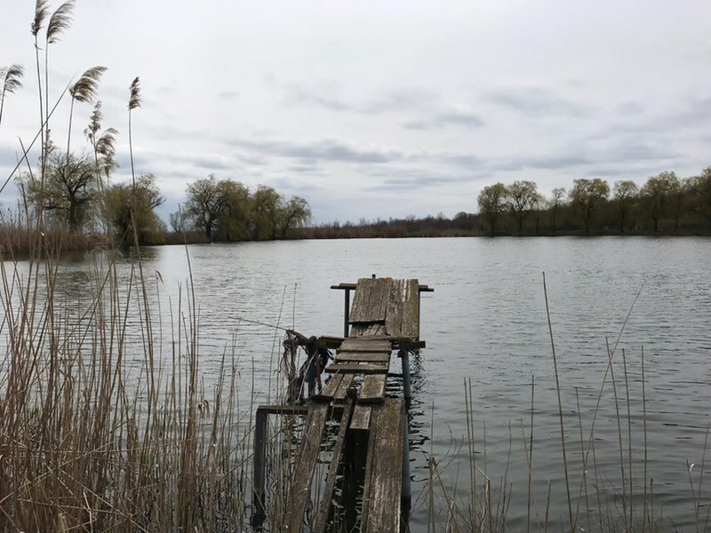 В Омске крематорий планируют построить на берегу озера