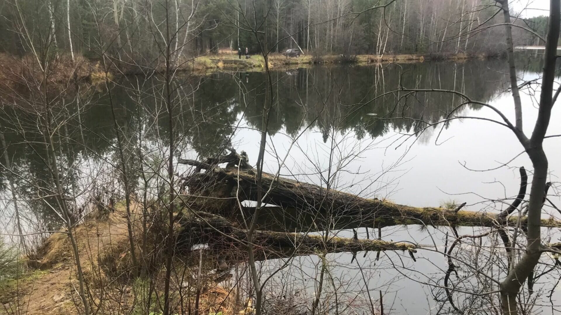 В речке обнаружили тело пропавшего две недели назад омича