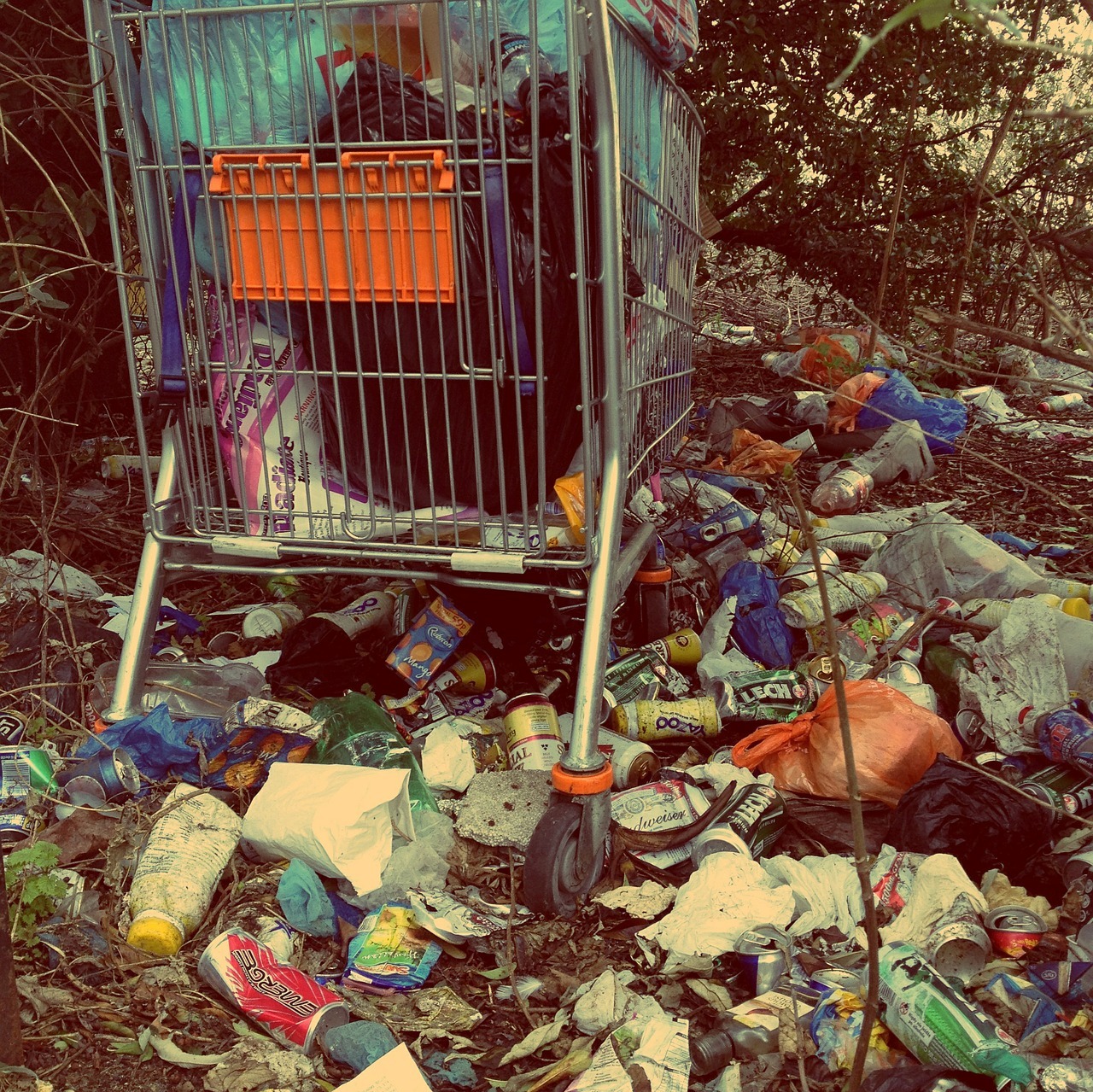 Треть всего мусора в Омске приходится на стихийные свалки