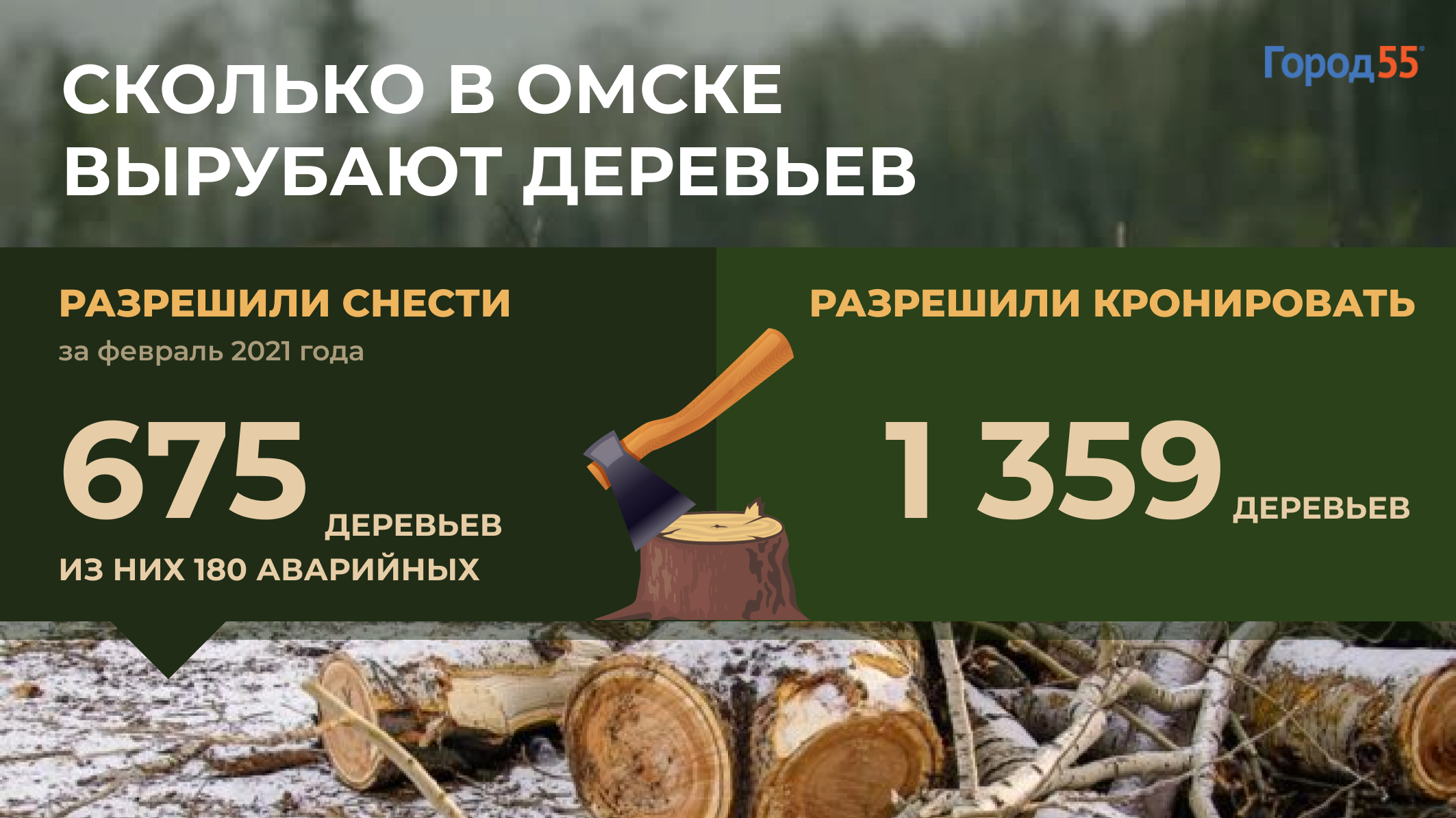 Омск лишится еще 675 деревьев. Где пройдут вырубки