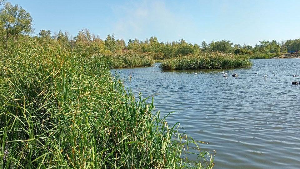 В парке имени 30-летия ВЛКСМ почистили озеро, на состояние которого жаловались омичи