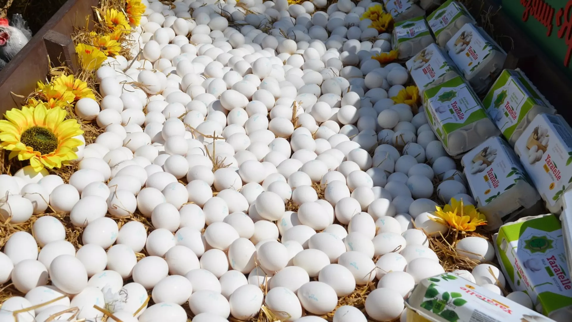 Омичи начали продавать домашние куриные яйца