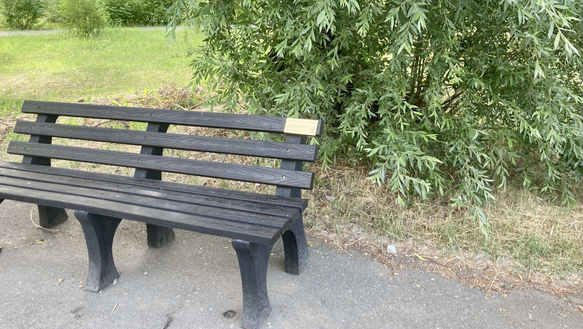 Сбер установил эко-скамейки из переработанного пластика в парке «Зеленый остров»