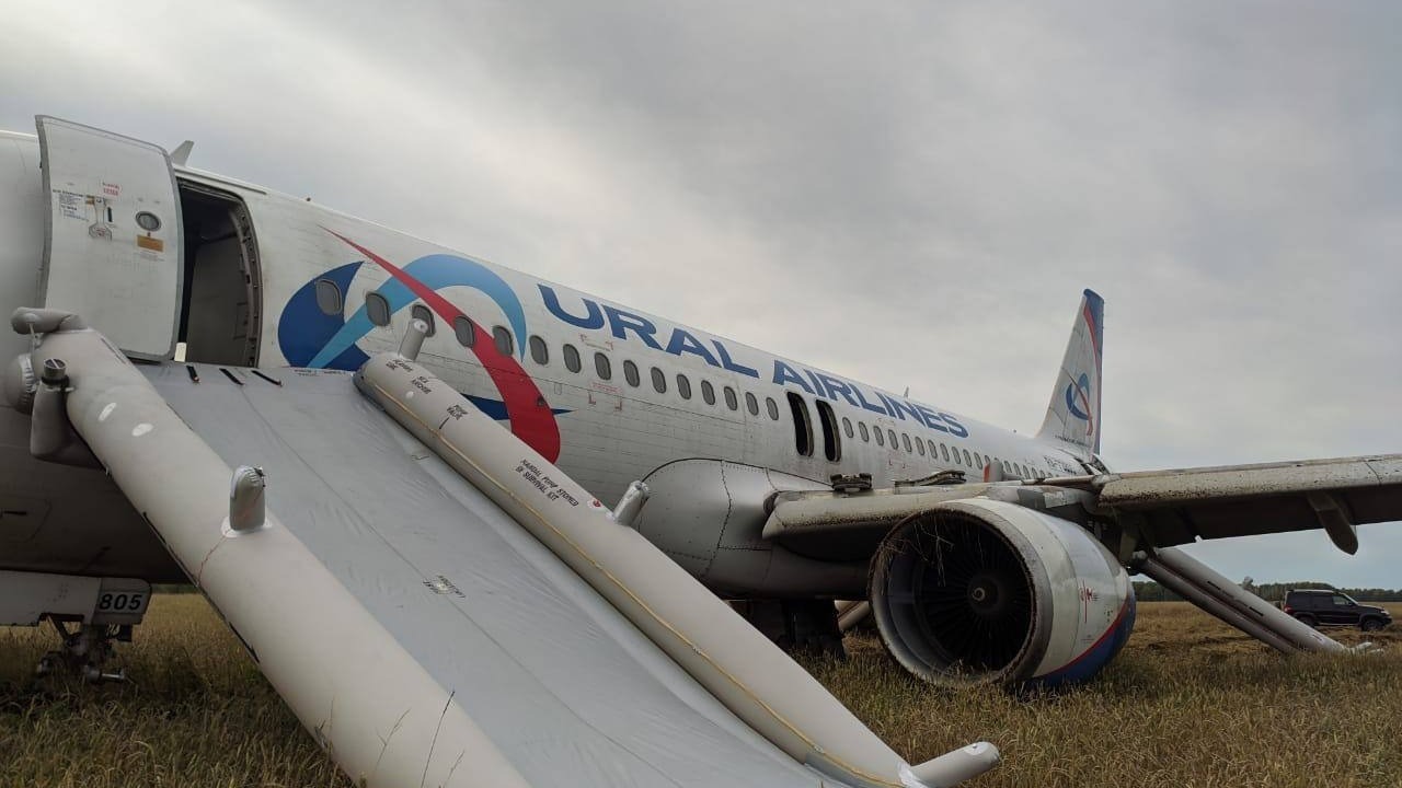 Хроника аварийной посадки самолета Сочи-Омск в Новосибирске. Рассказываем главное